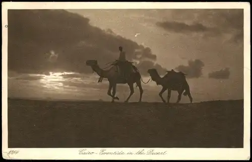 Kairo القاهرة Erentide in the Desert; Kamele Wüste 1930   gel Stempel CAIRO