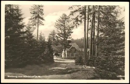 Ansichtskarte Mönchhof (Thüringen) Waldweg Mönchhof 1953