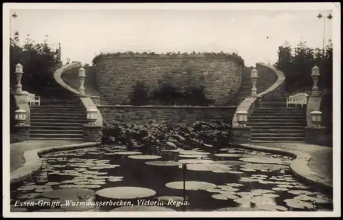 Ansichtskarte Essen (Ruhr) Gruga. Warmwasserbecken, Victoria-Regia. 1930