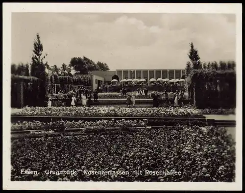 15 Sammelbilder: Essen (Ruhr) Grugapark, Botanischer Garten, Rosenkaffee