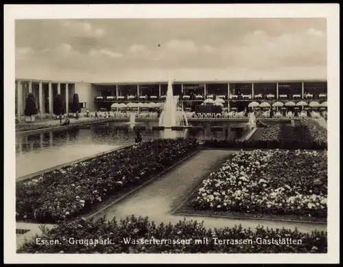 15 Sammelbilder: Essen (Ruhr) Grugapark, Botanischer Garten, Rosenkaffee