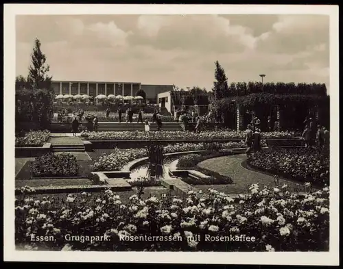 15 Sammelbilder: Essen (Ruhr) Grugapark, Botanischer Garten, Rosenkaffee