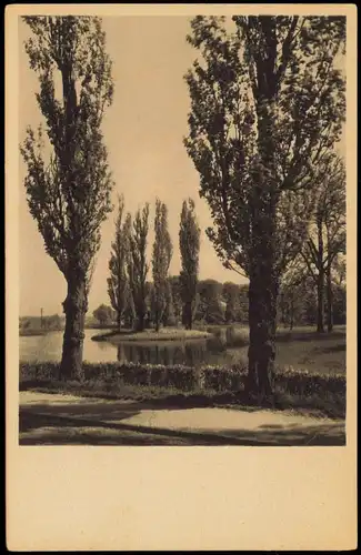 Oranienbaum-Oranienbaum-Wörlitz Blick auf die Rousseau-insel 1925