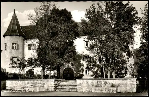 Ansichtskarte Immendingen Partie am Schloss (Castle) 1960