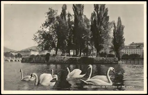 Ansichtskarte Genf Genève Ile Rousseau et les cygnes; Schwan Schwäne 1938