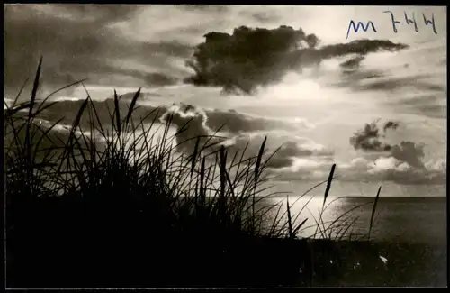 Ansichtskarte Sylt Insel Sylt Sonnenuntergang a.d. Nordsee 1960