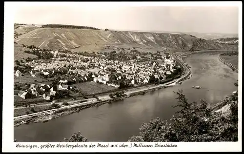 Ansichtskarte Winningen Panorama-Ansicht Gesamtansicht Mosel Blick 1960