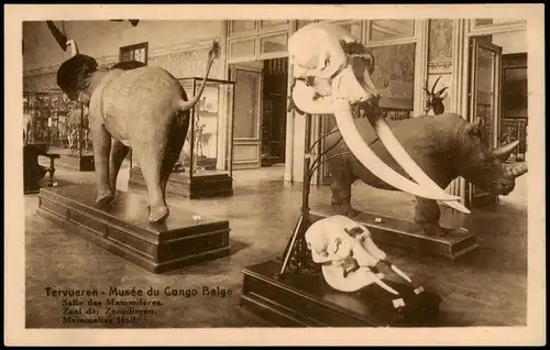 Postkaart Tervuren (Tervueren) Musée du Congo Belge 1930