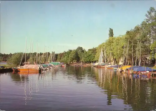 Ansichtskarte Arendsee (Altmark) Seglerhafen mit vielen Seglern 1985