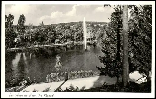 Ansichtskarte Braunlage Kurpark, Kurgarten, Kur-Anlagen 1956