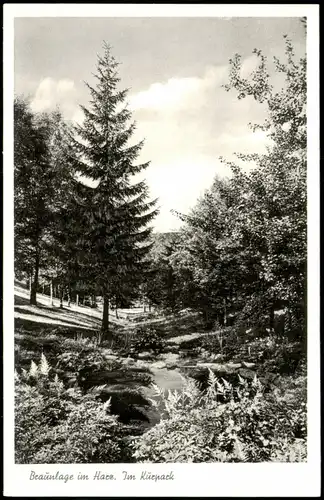 Ansichtskarte Braunlage Kurgarten, Kur-Anlagen, Partie im Kurpark 1956