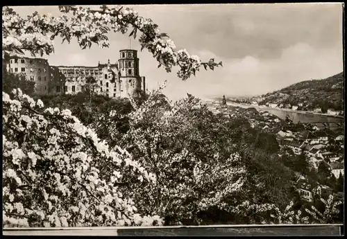 Ansichtskarte Heidelberg Panorama-Ansicht zur Baum Blütezeit 1960