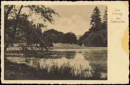Ansichtskarte Bad Driburg Parkweiher 1936