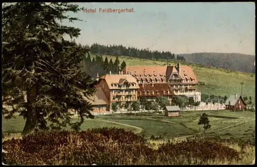 Ansichtskarte Titisee-Neustadt Feldberg und Feldbergerhof 1912