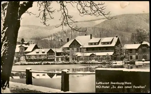 Ansichtskarte Ilsenburg (Harz) HO-Hotel Zu den roten Forellen 1961
