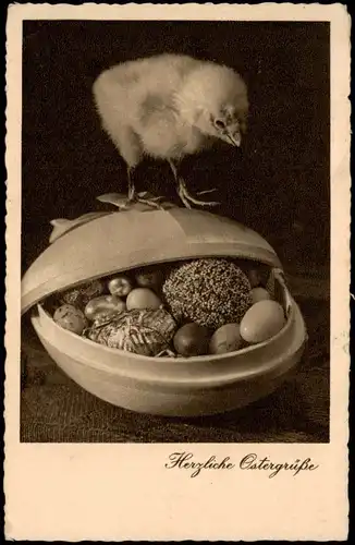 Ansichtskarte  Glückwunsch Ostern / Easter Küken auf Osterschokolade 1936