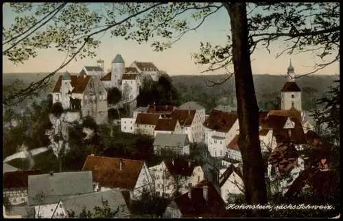 Ansichtskarte Hohnstein (Sächs. Schweiz) Panorama-Ansicht 1911