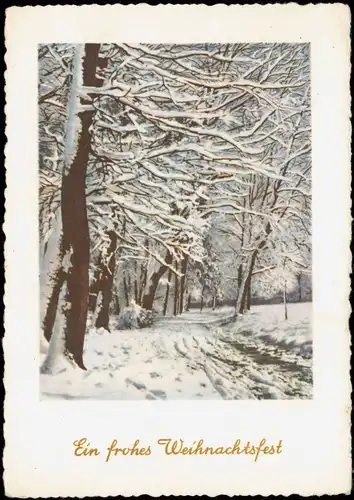 Ansichtskarte  Weihnachten - Christmas Waldweg im Winter Künstlerkarte 1956