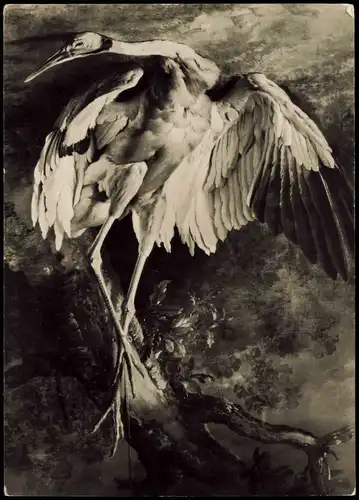 Ansichtskarte Schwerin Jean Baptiste Oudry 1686–1755 Museum 621962