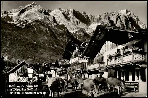 Garmisch-Partenkirchen Frühlingstr. mit Alpspitze, Höllental u.Zugspitze 1962