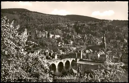 Ansichtskarte Heidelberg Frühling Blick vom Philosophenweg 1960