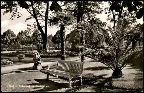 Ansichtskarte Lindau (Bodensee) Stadtgarten Park 1956