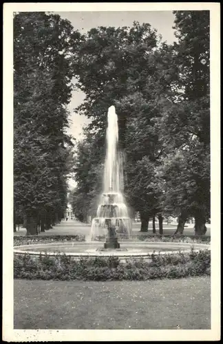 Ansichtskarte Bad Pyrmont Park Fontäne Wasserkunst Wasserspiele 1954