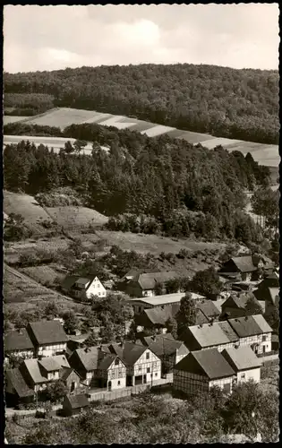 Ansichtskarte Lauenberg LAUENBERG im Solling Blick zum Petersberg 1959