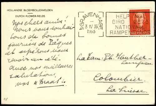 .Niederlande HOLLANDSE BLOEMBOLLENVELDEN DUTCH FLOWER-FIELDS 1953