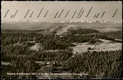 Feldberg (Schwarzwald)  Fernblick auf Herzogenhorn und Schweizer Alpen 1960