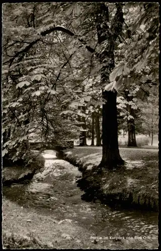 Ansichtskarte Bad Orb Partie im Kurpark 1959