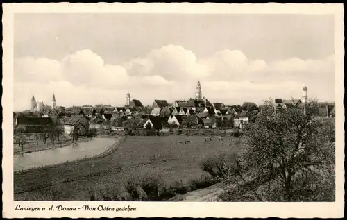 Ansichtskarte Lauingen (Donau) Panorama-Ansicht 1980/1950   mit Sonderstempel