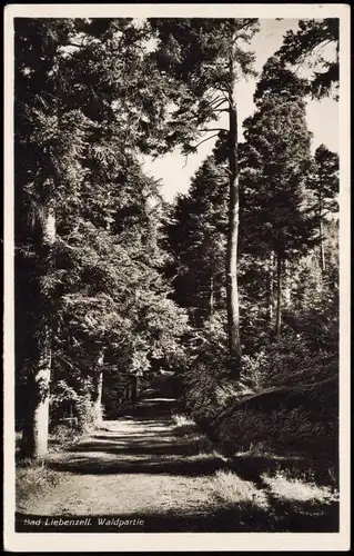 Ansichtskarte Bad Liebenzell Waldpartie 1935