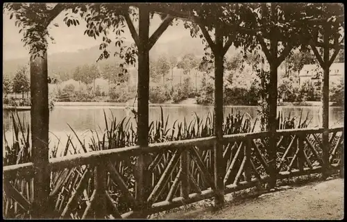 Ansichtskarte Bad Elster Luisa-See , Anlagen 1922