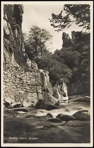 Ansichtskarte Treseburg Bodetal (Harz), Bodetor - Ausstiegsleiter 1930