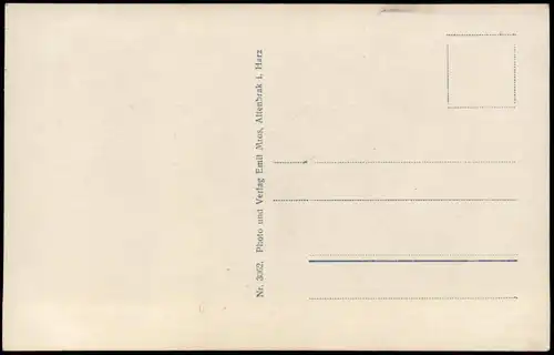 Ansichtskarte Treseburg Bodetal (Harz), Bodetor - Ausstiegsleiter 1930