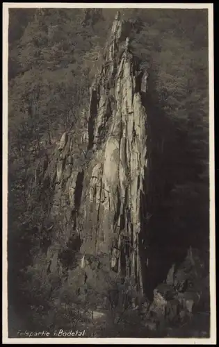 Ansichtskarte Treseburg Felspartie Bodetal 1930