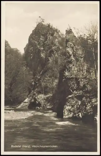Ansichtskarte Treseburg Harz Heuscheunenrücken Bodetal Harz 1930