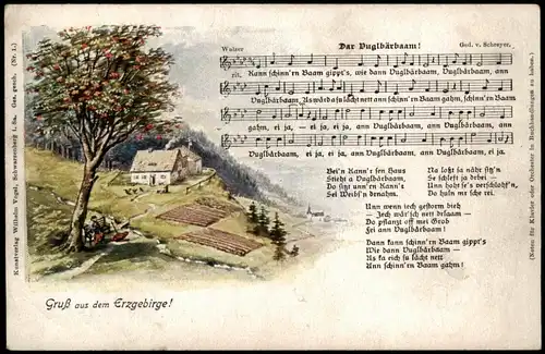 Ansichtskarte  Vuglbärbaam, Liedkarte Erzgebirge 1914