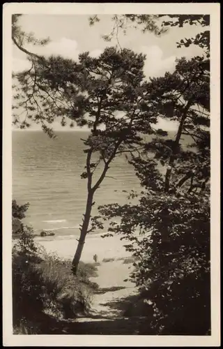Ansichtskarte Sellin Blick auf das Meer vom Selliner Forst 1954
