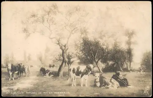 CPA .Normandie Vaches en mai/Kühe auf der Wiese (Watelin) 1902