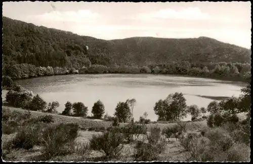 Ansichtskarte Daun Eifel Gemünder Maar Umland-Ansicht 1955