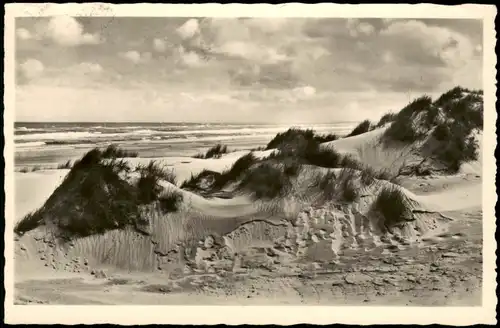 Ansichtskarte Langeoog Strand und Dünenpartie 1952