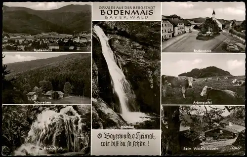 Bodenmais Mehrbild-AK mit Schareben, Arber, Hochfall Wasserfall uvm. 1959