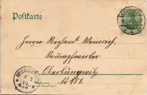 Ansichtskarte Litho AK Chemnitz Hauptbahnhof, Post, Naturheilanstalt 1904