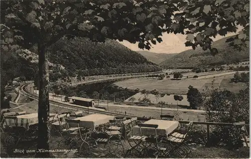 Ansichtskarte Neckargemünd Blick vom Kümmelbacherhof, Bahnhof 1912