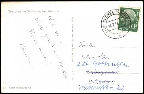 Ansichtskarte Uffing am Staffelsee Seerosen im Staffelsee bei Murnau 1958