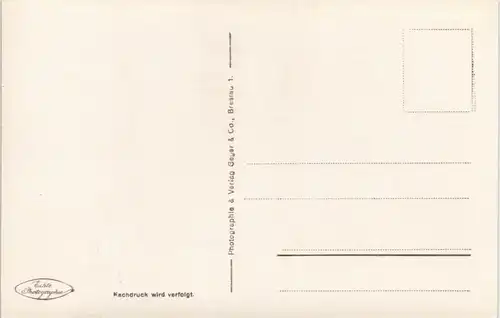 Ansichtskarte Zingst Möwen über dem Meer 1930