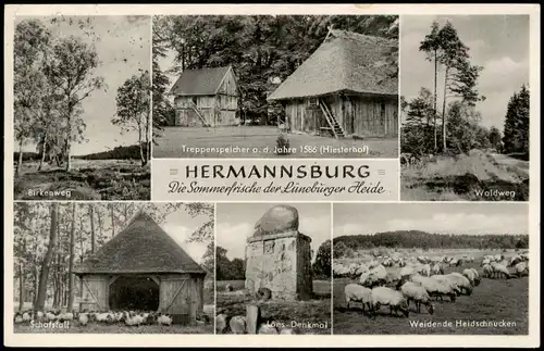 Hermannsburg  Treppenspeicher, Waldweg, Birkenweg, Schafstall uvm. 1958