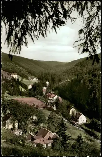 Wildemann (Innerstetal) Blick vom Hüttenberg ins Spiegeltal 1960